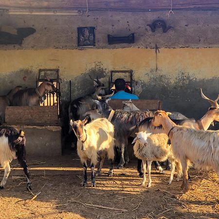 Fattoria Manostalla Villa Chiarelli Balestrate Exterior foto