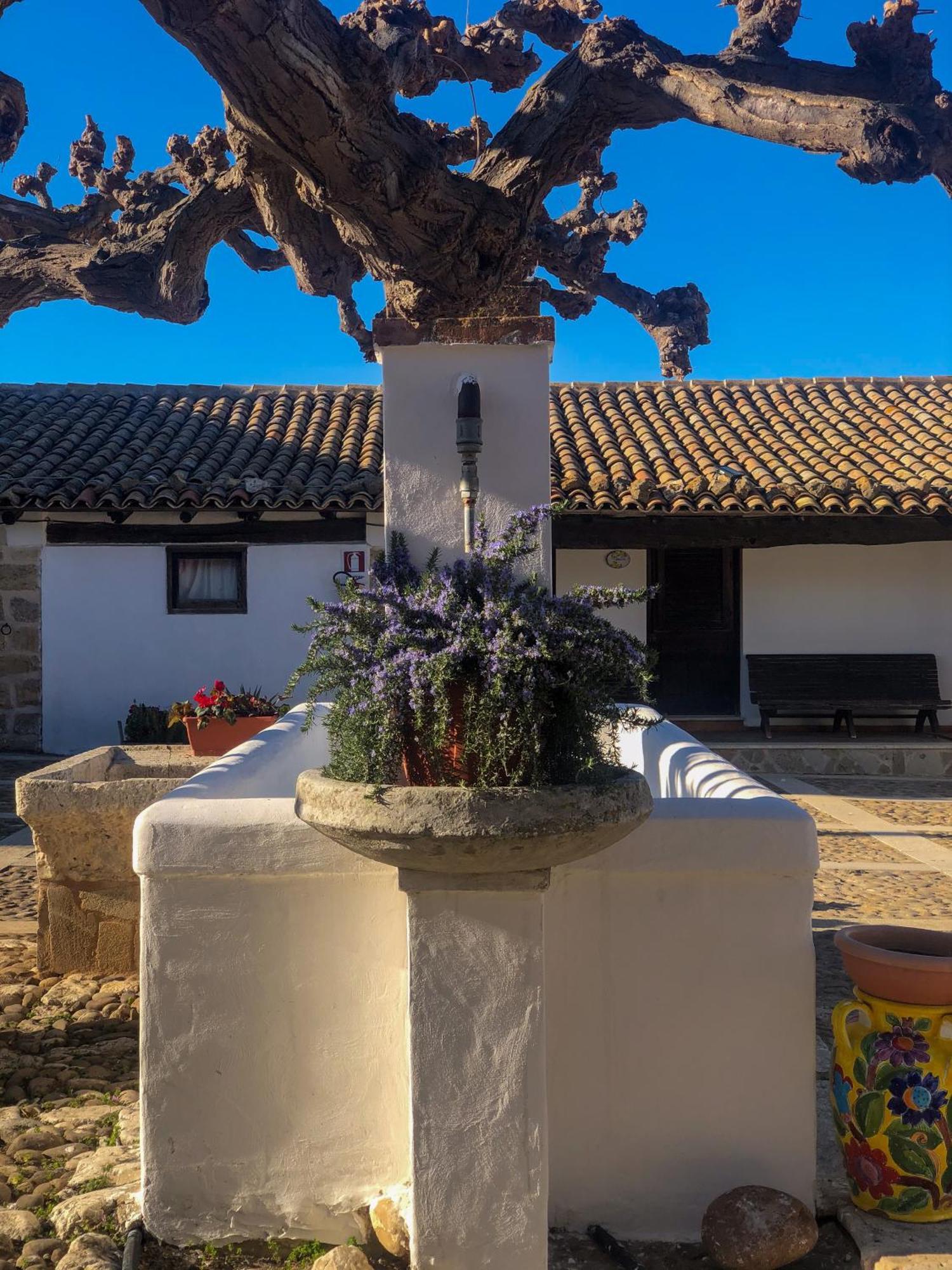 Fattoria Manostalla Villa Chiarelli Balestrate Exterior foto